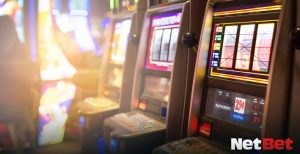 777leo|Bingo Online com Bônus Sem Depósito – Jogue Sem Risco